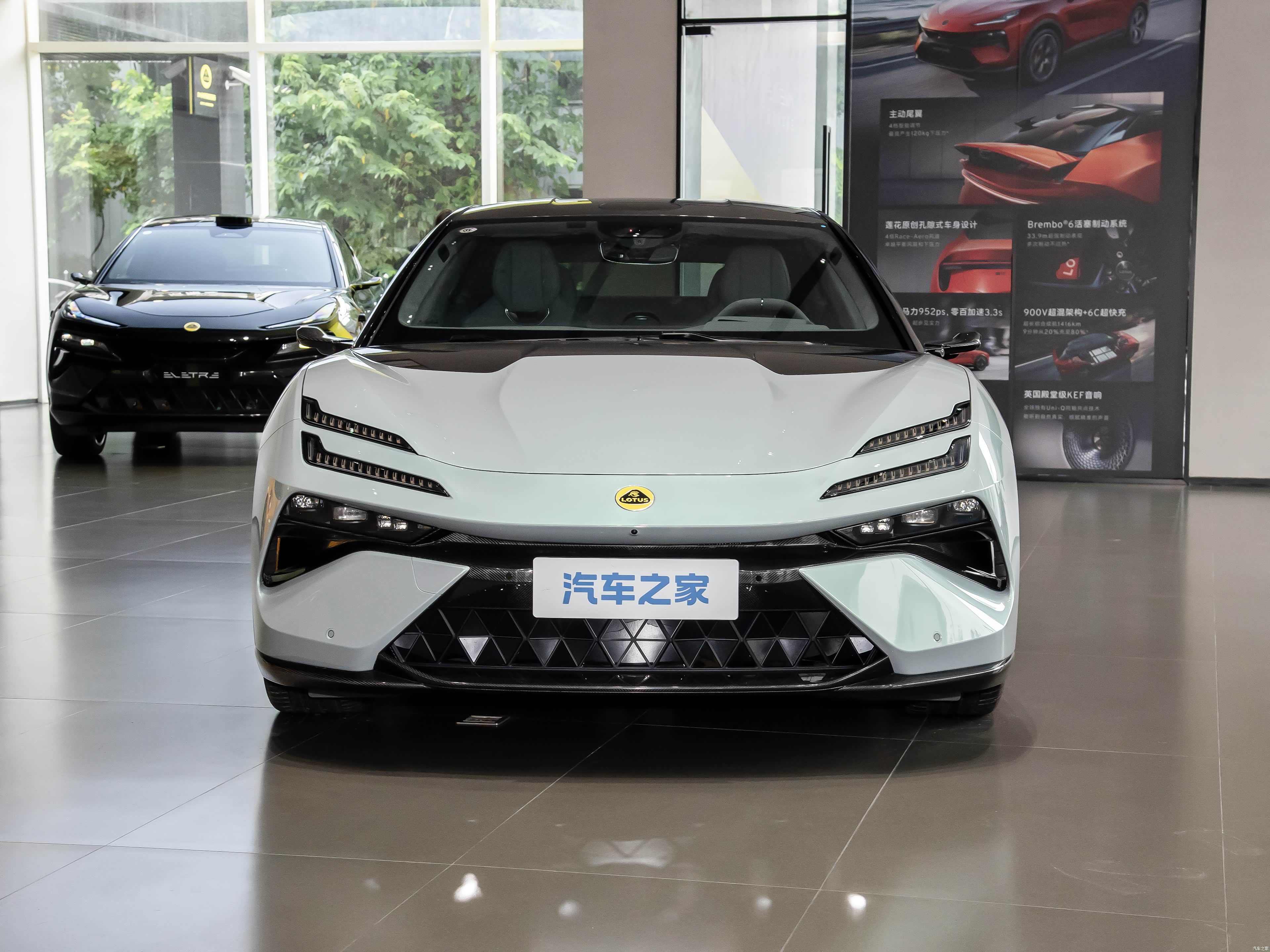 Lotus Emeya, миниатюра 2