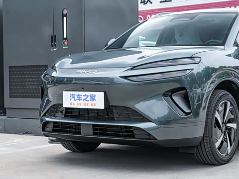 2025�� DM-i 205�캽Pro��