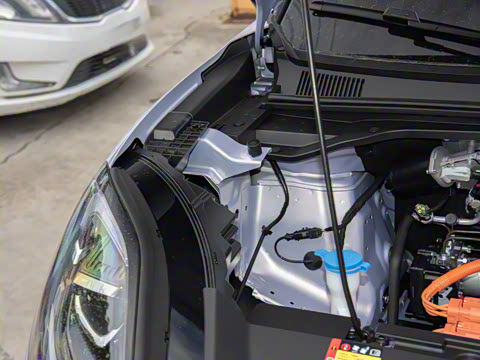 2025�� 325km ������