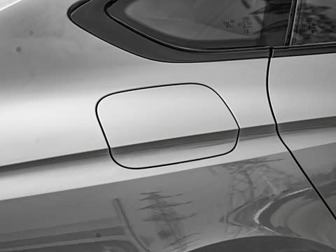 2025�� RS 5 2.9T Sportback ȼ���