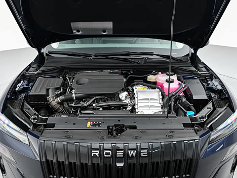 2026�� 205km ������ 