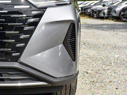 2025�� 290T ��������+