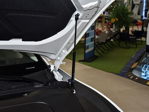 2026�� ������