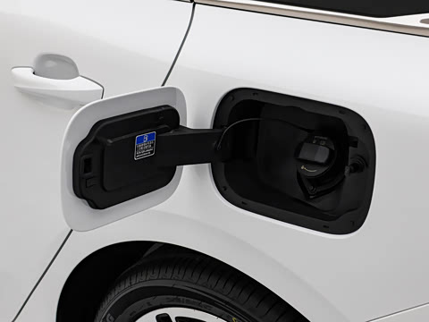 2026�� 1.5L �����