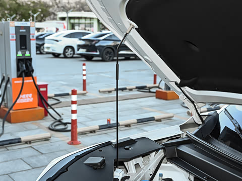 2026�� 650 ���װ�