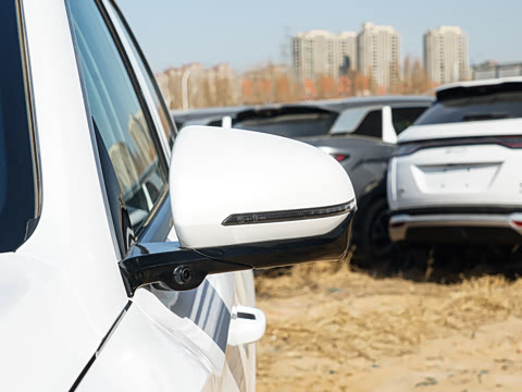 2026�� DM-i 220KM��Խ��