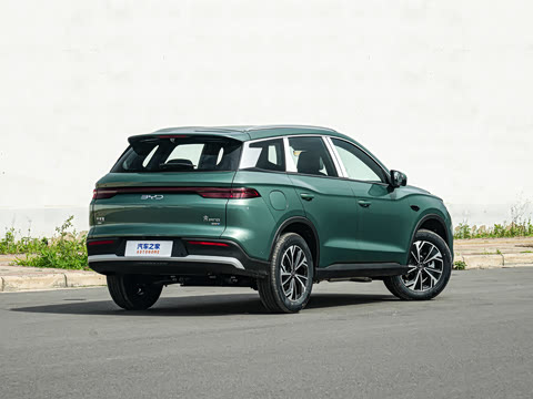 2026�� DM-i 133KM��Խ��