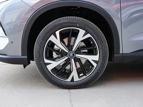 2026�� DM-i 220KM��Խ��