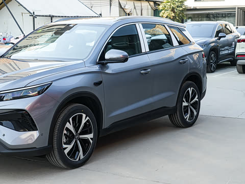 2026�� DM-i 220KM��Խ��