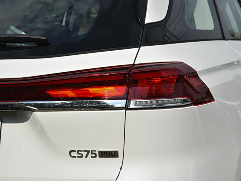 2026�� PRO 1.5T DCT ������ 7��