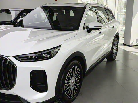 2026�� 9X 2.0T �Զ����������