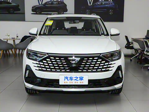 2026�� 280TSI �ֶ��ȷ��