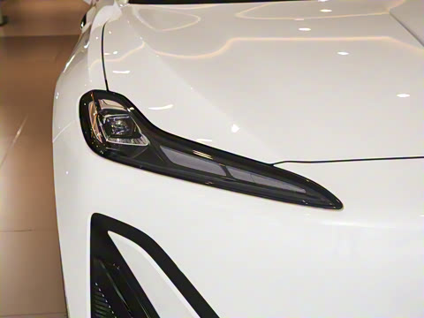 2025�� 520 ��ѡ��