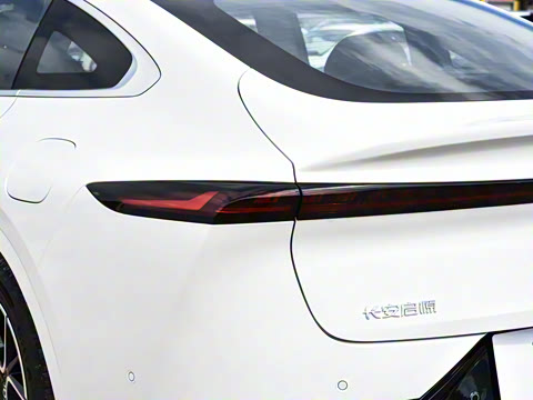 2026�� �����������̰� 310������