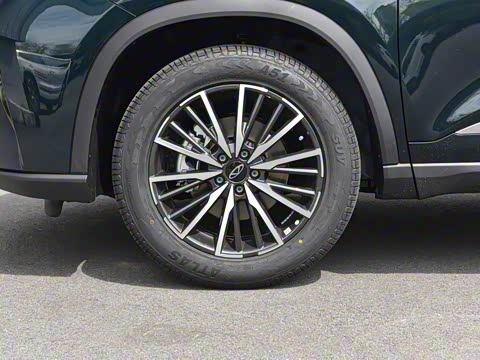 2025�� 290T ��������+