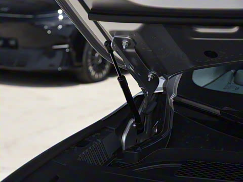 2025�� 602 ������ Max