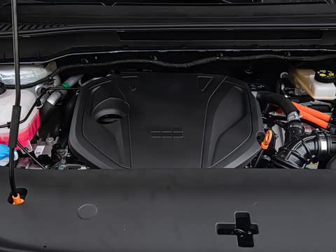 2026�� 220km �������������������