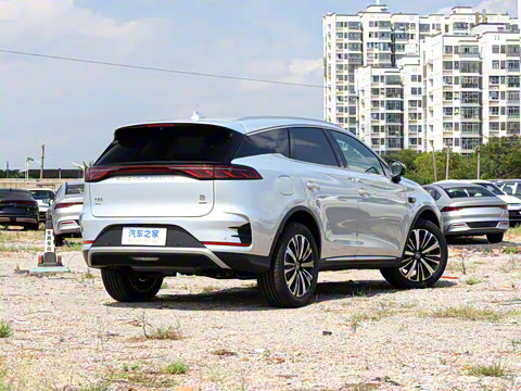 2025�� �Ǽݰ� DM-i 175KM �����