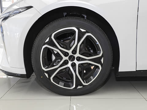 2026�� 565 ������