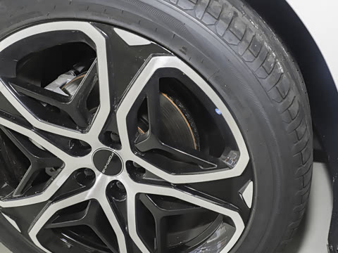 2026�� 565 ������