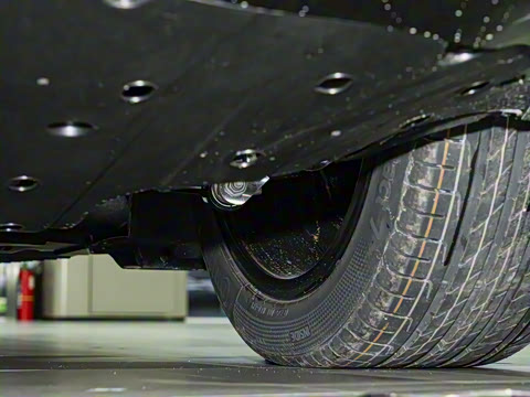 2026�� Max+ �����