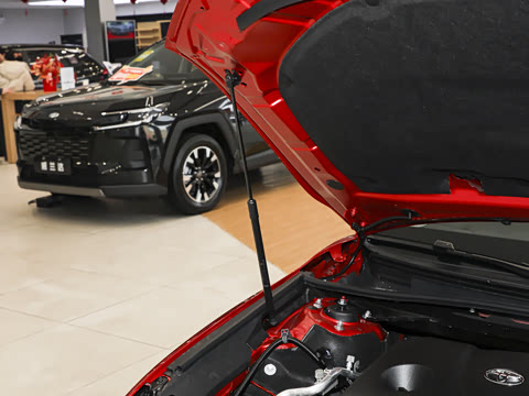 2026�� ˫�� 2.0HGVP ������