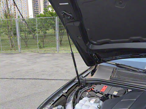 2025�� 55 TFSI quattro S line����ʿ��