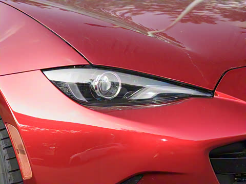 2025�� �ֶ��������� ī�����