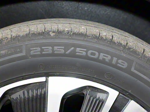 2025�� ������