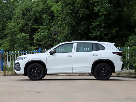 2026�� �Ŀ� ̽��L 300TSI ������Ӣ