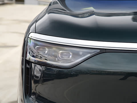 2025�� ���� Max+ ������������ 