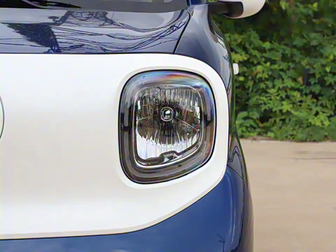 2026�� 222km �Ų���