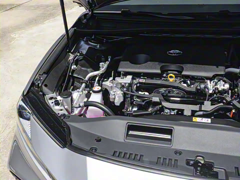 2026�� ˫�� 2.0HS �˶���