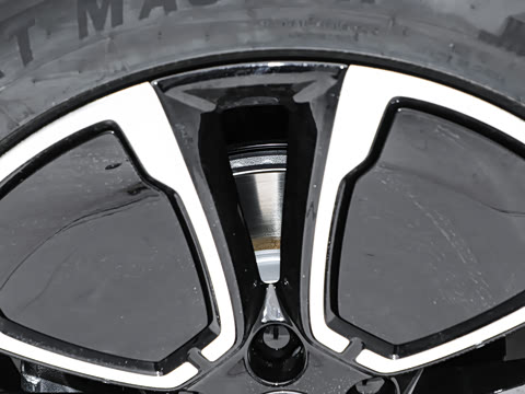 2026�� DM-i 220�Ǻ���