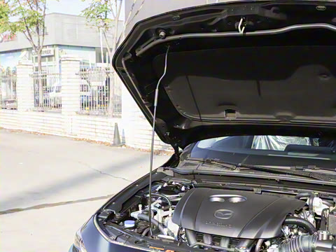 2025�� 2.0L �Զ����Ű�