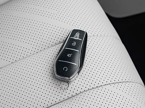 2026�� DM-i 310KM ��Խ��