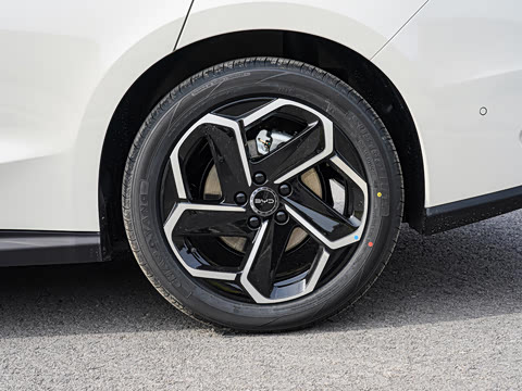 2026�� DM-i 210KM������