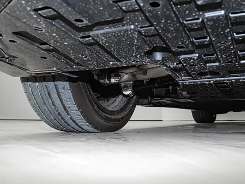 2026�� �Ŀ� Max ˫��������