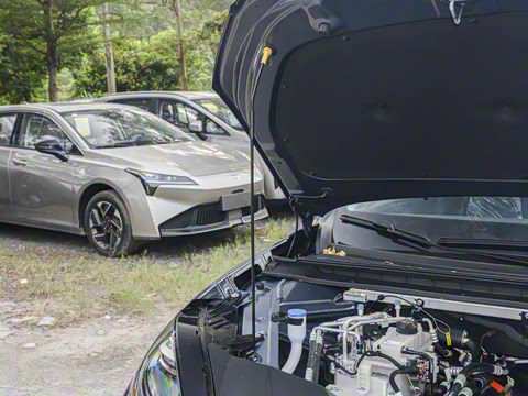 2026�� 520������