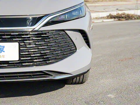 2026�� DM-i 170KM��Խ��