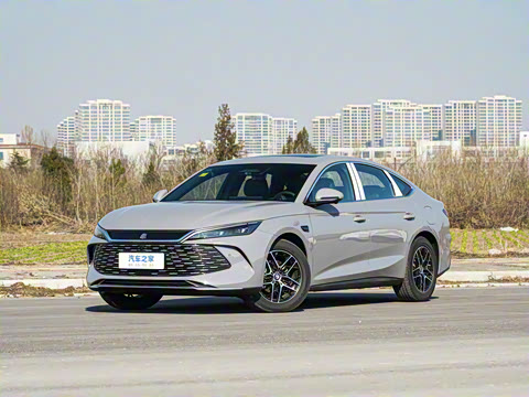 2026�� DM-i 170KM��Խ��