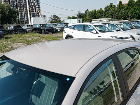 2026�� 310km ������