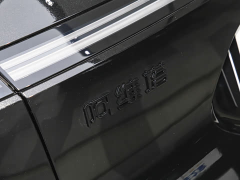 2025�� Elite�����