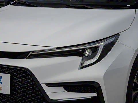 2026�� ����L ���Ͱ� 2.0L ����PLUS��