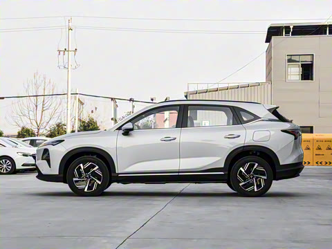 2026�� ������ ������