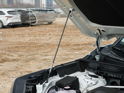 2026�� ˫�� 2.5L �����콢��