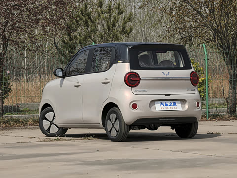 2026�� ����� 301km ���׿�