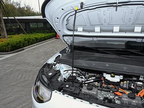 2026�� 505�����״��