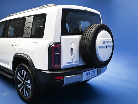 2026�� 255km ������