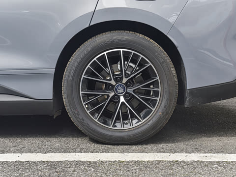 2026�� DM-i 230KM������